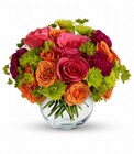 Smile for Me Cottage Florist Lakeland Fl 33813 Premium Flowers lakeland